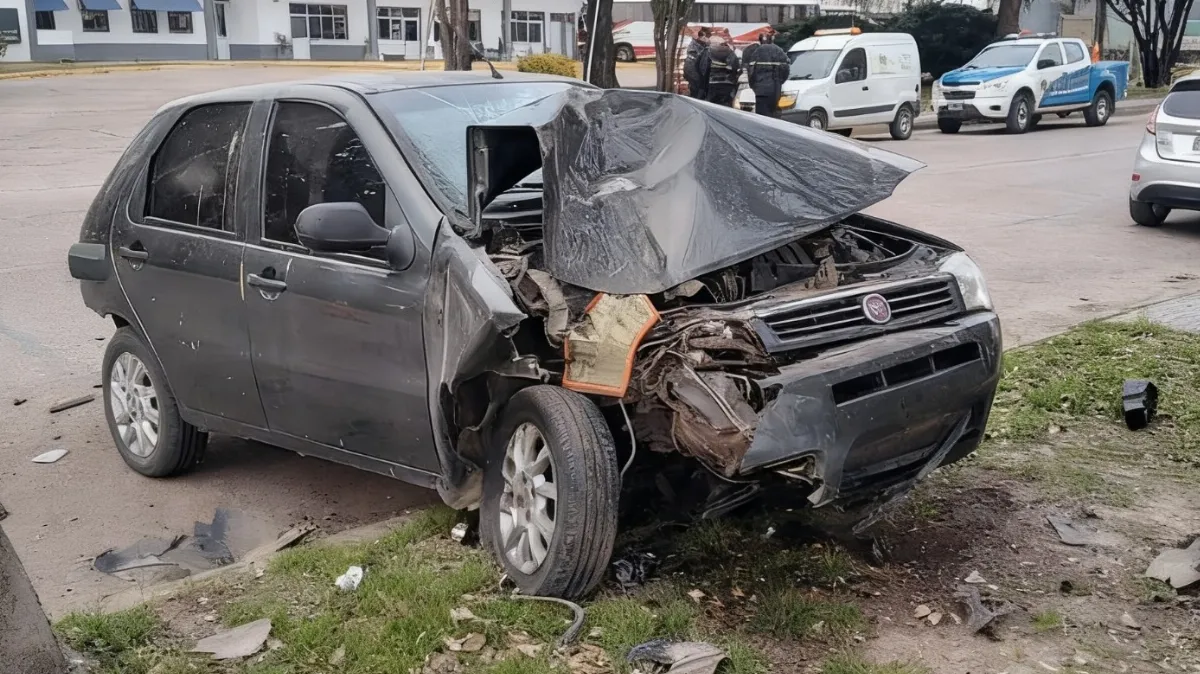 Perdió el control del auto y chocó contra un árbol