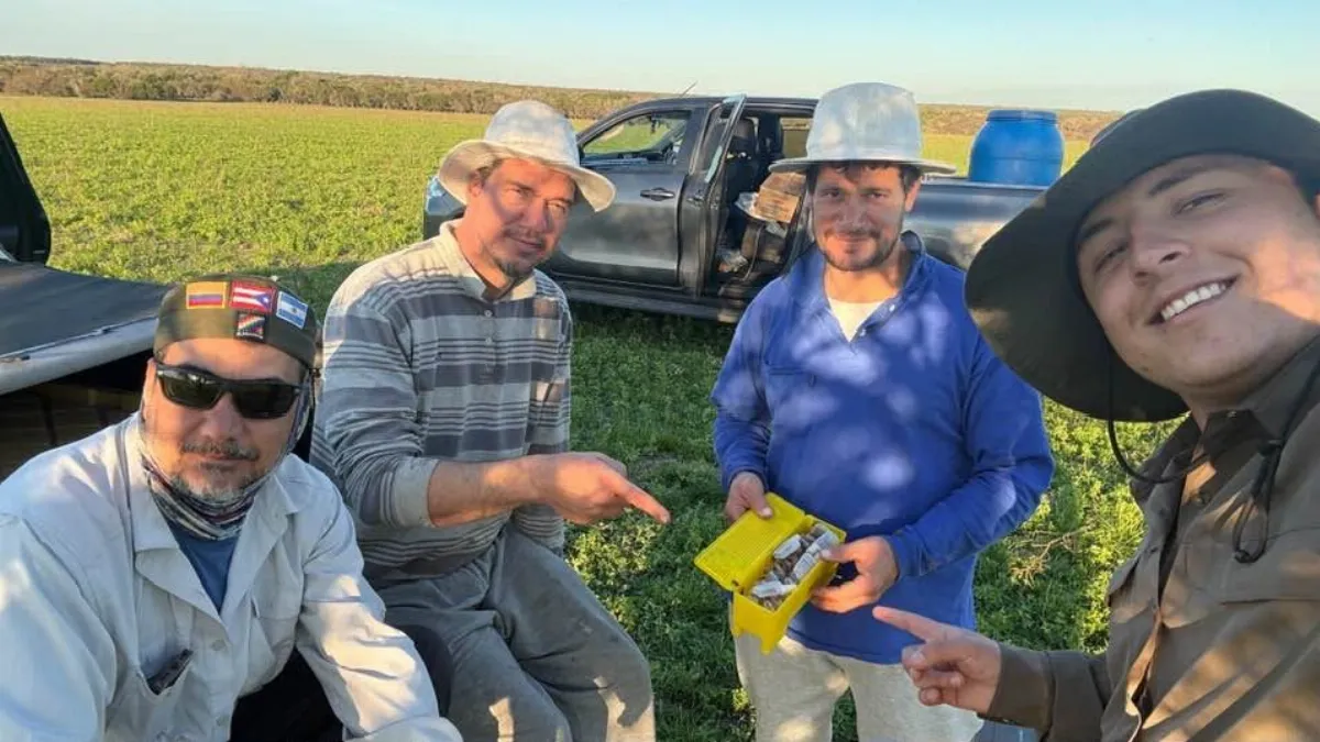 Científicos del CONICET investigaron en San Salvador áreas naturales de reproducción de abejas
