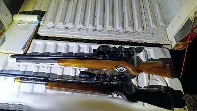 Detectaron a cinco personas con armas y una corzuela muerta en Lucas Sud Primera