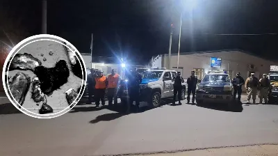 Investigan la faena ilegal de un equino: secuestraron carne y cuatro trozos de cuero