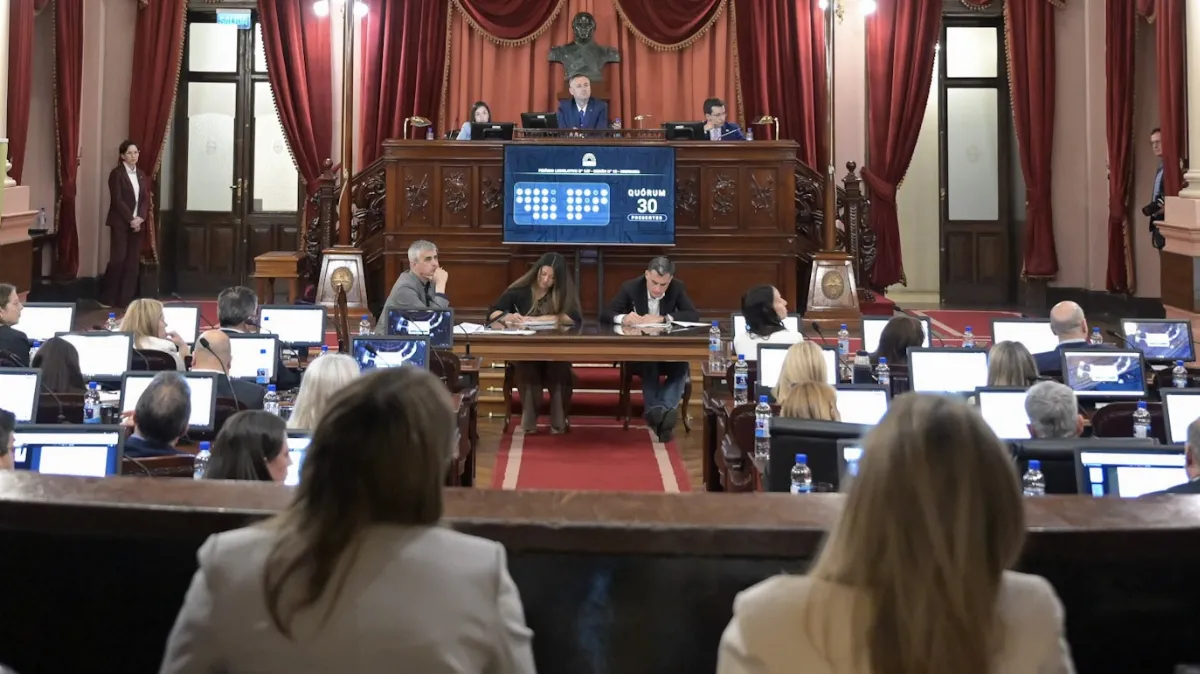 Diputados dio media sanción a la adhesión de Entre Ríos a la Ley Nacional de Fonoaudiología
