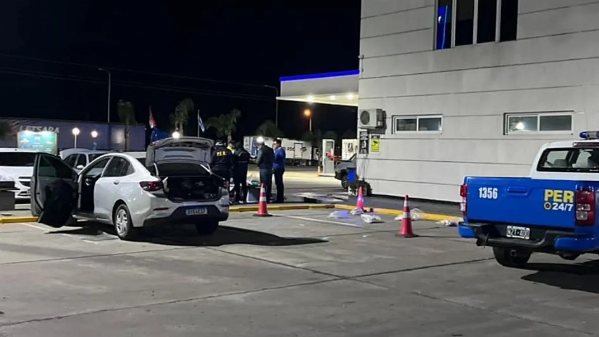 Procesaron con prisión preventiva a seis brasileños detenidos con casi 46 kilos de drogas sintéticas en Entre Ríos