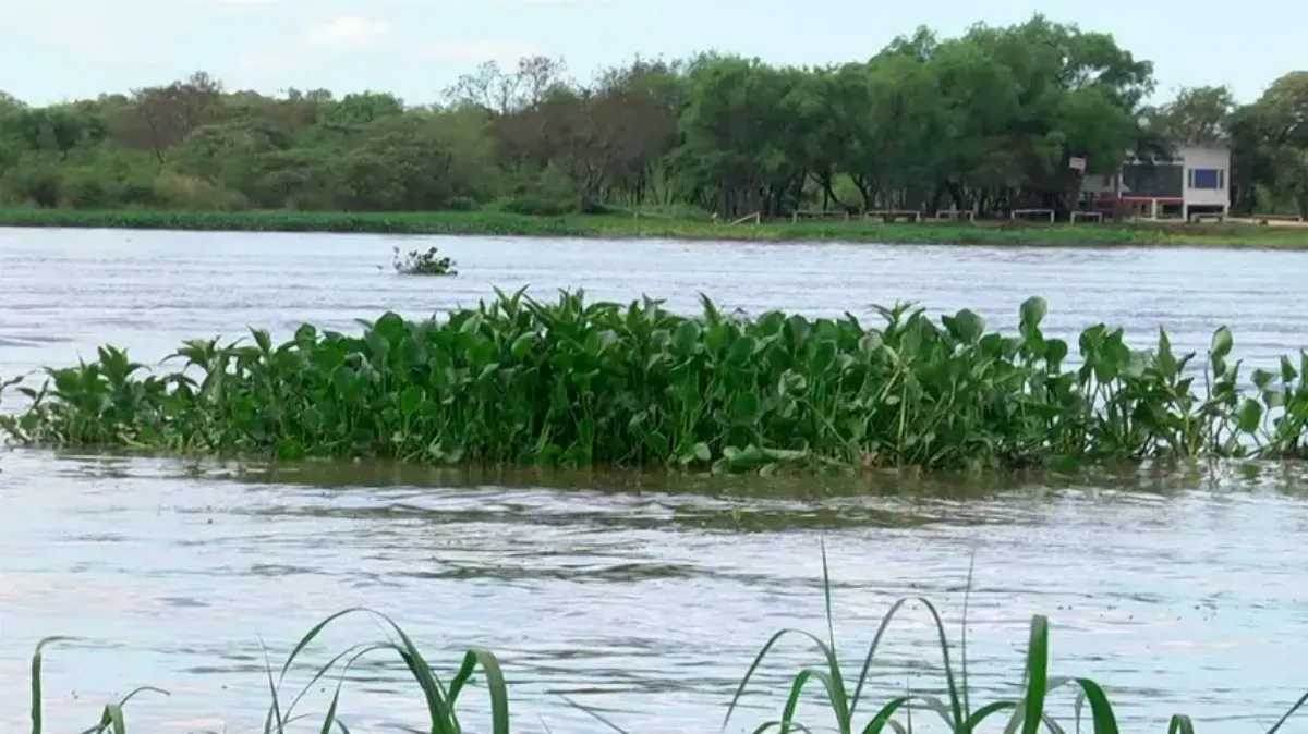 El río Paraná sigue creciendo y La Paz está a solo ocho centímetros del nivel de alerta