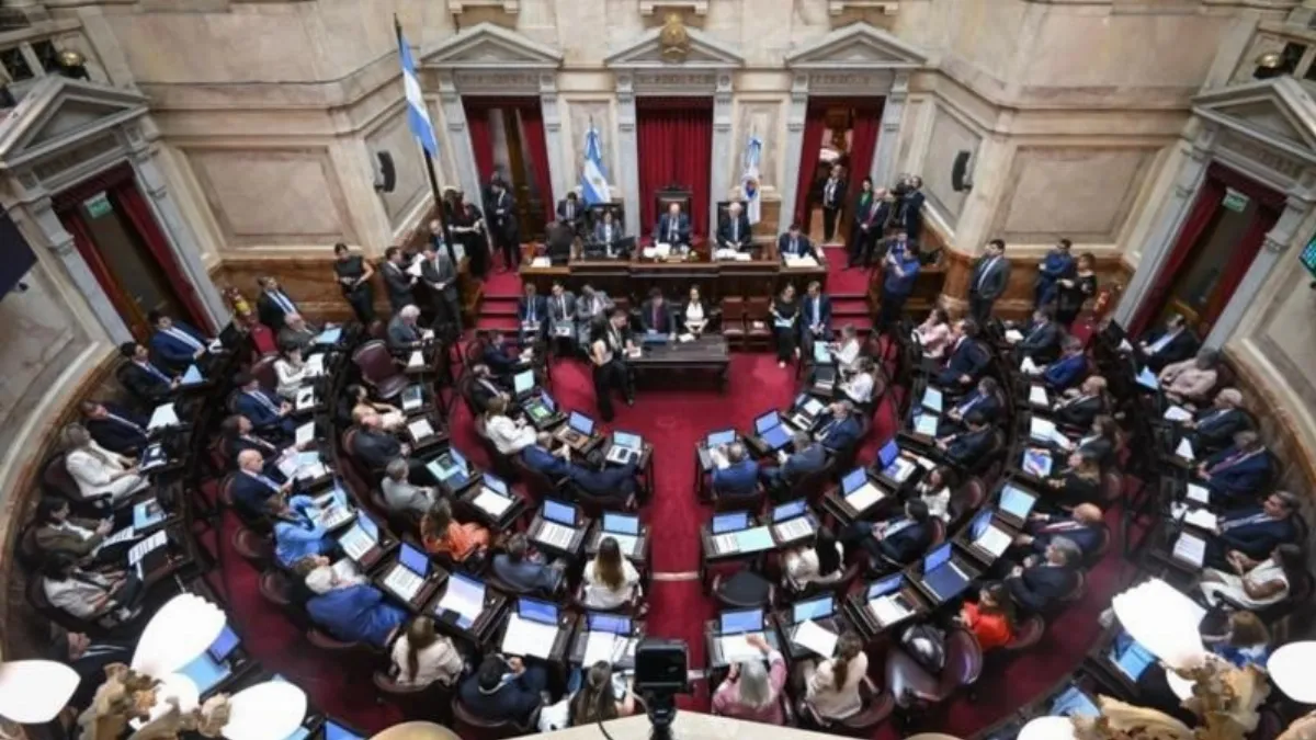 El Senado aprobó la reforma de la Ley de Salud Mental: cambian los criterios para las internaciones