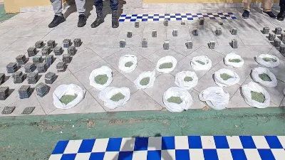 Secuestraron más de 38 mil pastillas en un operativo sobre la autovía 14