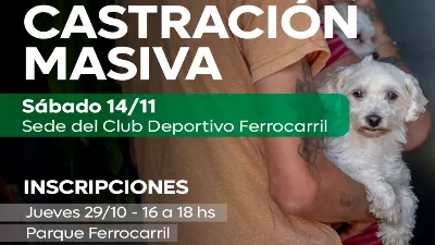 Este jueves se realizan las inscripciones para una campaña masiva de castraciones