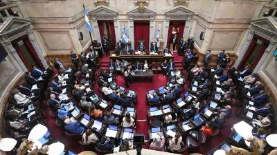 El Senado aprobó la reforma de la Ley de Salud Mental: cambian los criterios para las internaciones