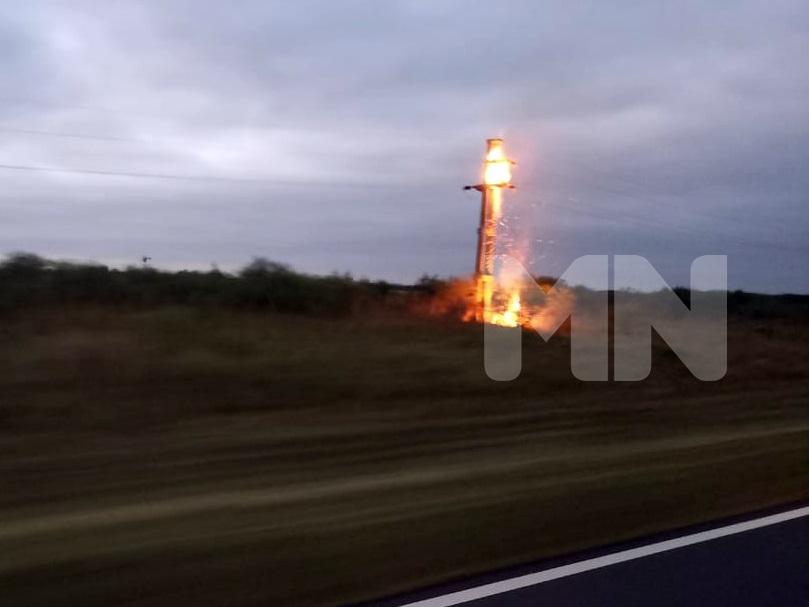 Nidos de loros provocaron incendio en el tendido eléctrico