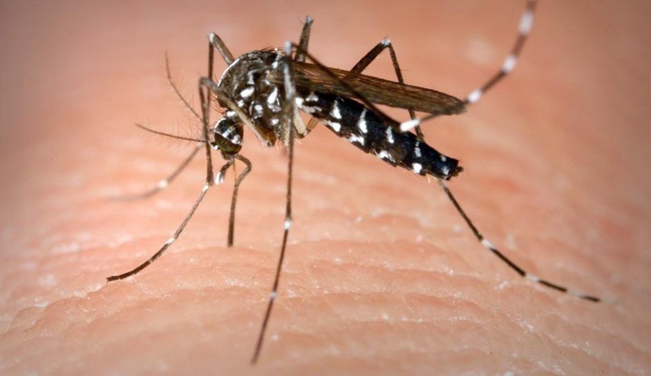 Una mujer murió con diagnóstico positivo de dengue en la provincia