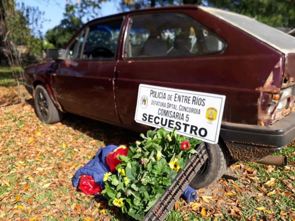 Empleado infiel quiso robar en un vivero: se quedó sin auto y sin plantines