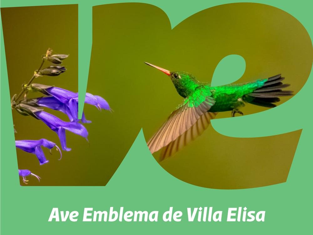 Villa Elisa eligió a su ave emblema